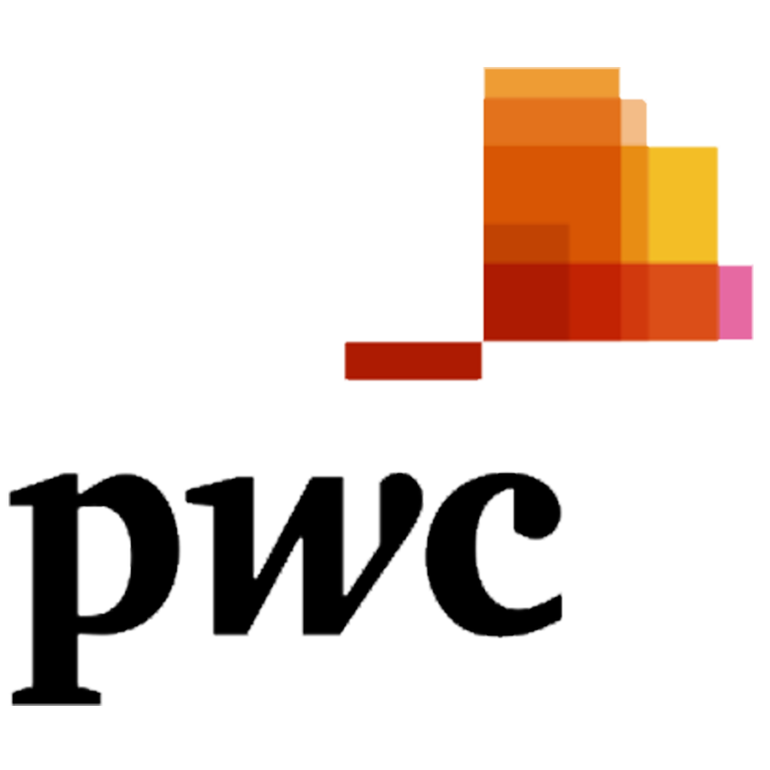 pwc partner logo